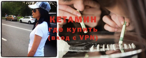 шишки Ельня