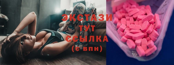 шишки Ельня