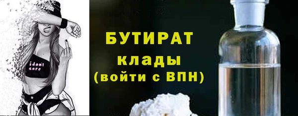шишки Ельня