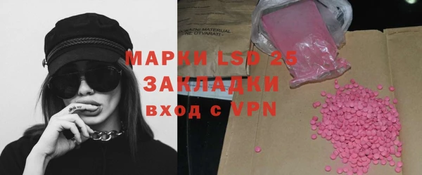 шишки Ельня