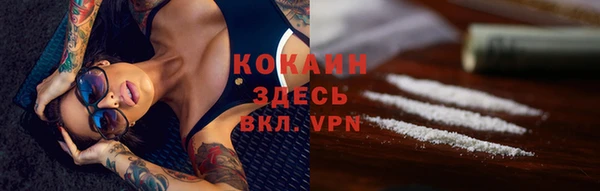 шишки Ельня