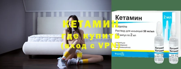 шишки Ельня