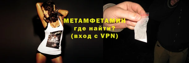 шишки Ельня