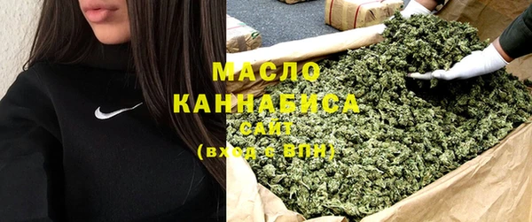 шишки Ельня