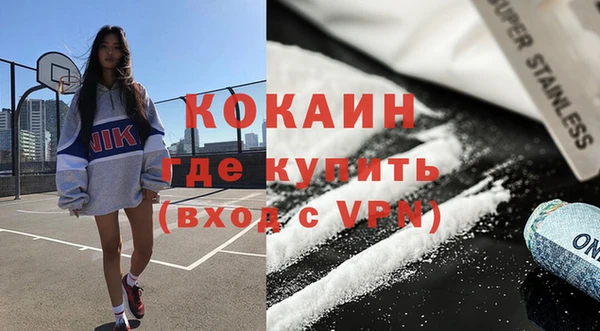 шишки Ельня