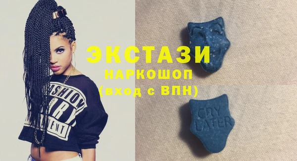 шишки Ельня