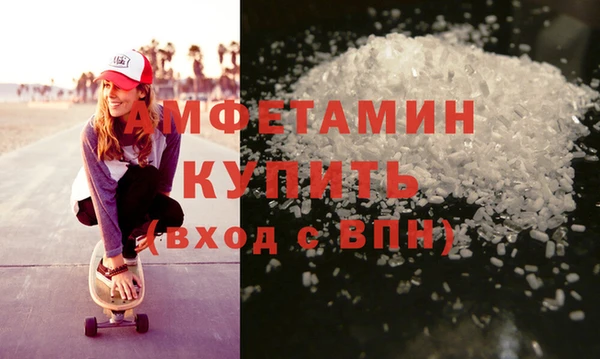шишки Ельня