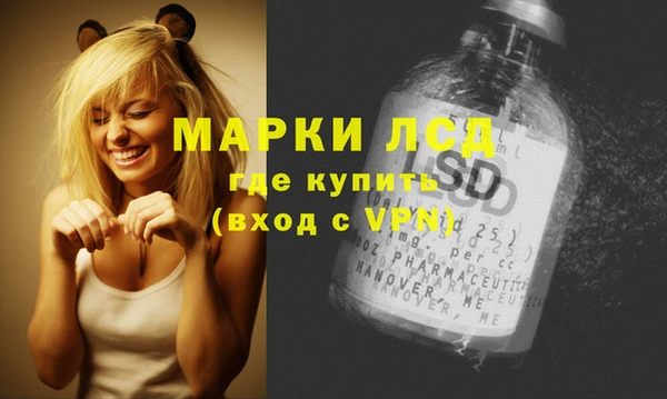 шишки Ельня