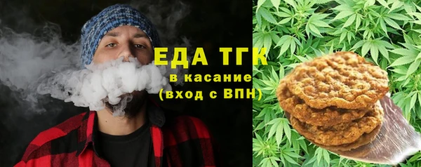 шишки Ельня