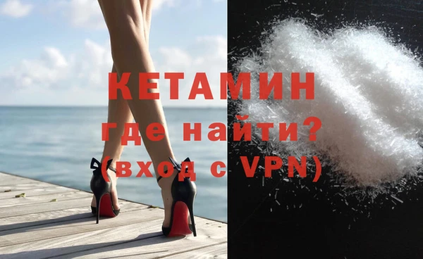 шишки Ельня