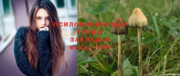 каннабис Елизово