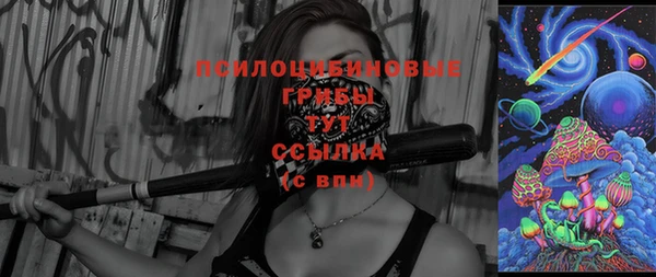 хмурый Елабуга