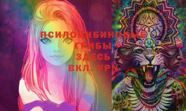 хмурый Елабуга