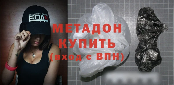 шишки Ельня